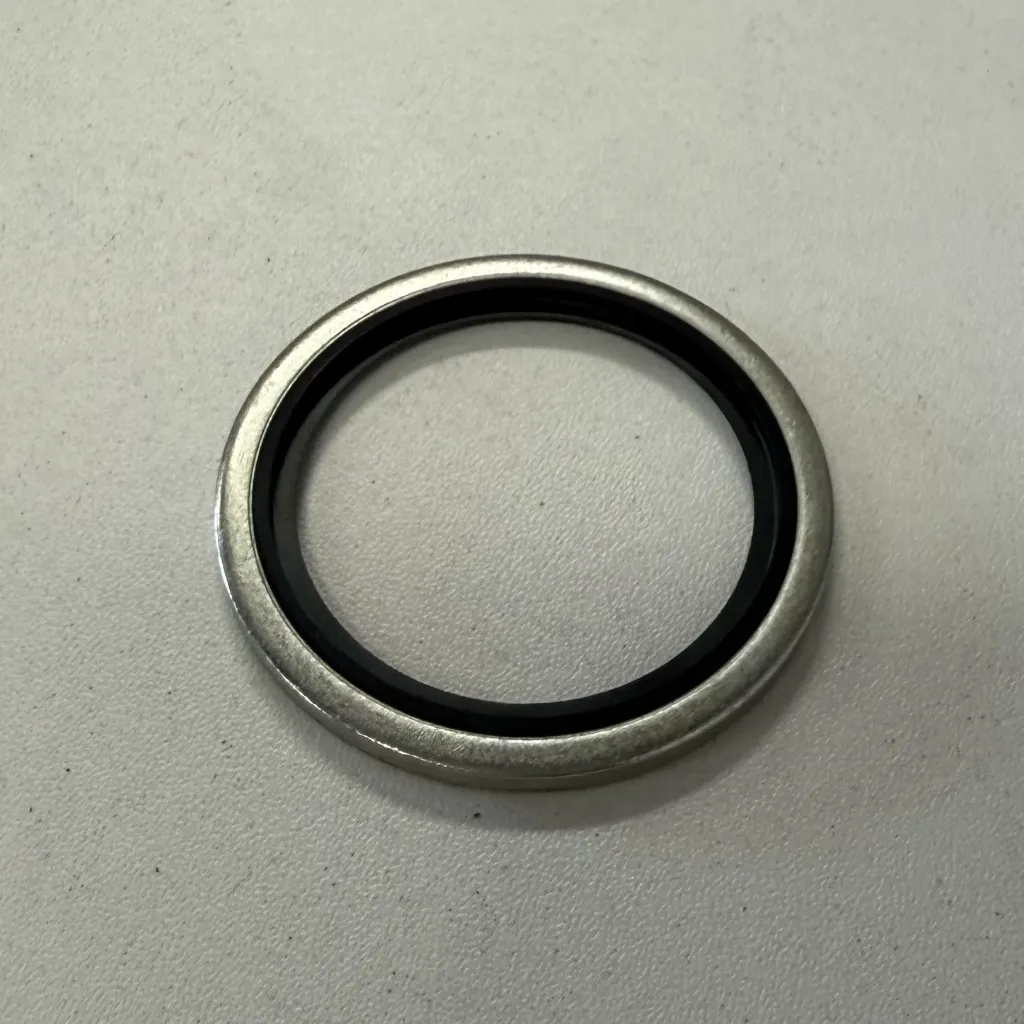 [DWS02] 1/8" BSP DOWTY SEAL