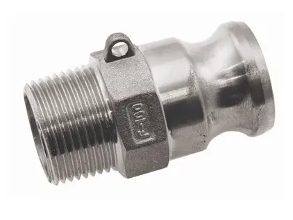 CAM & GROOVE 2" BSPT MALE PLUG TYPE F STAINLESS STEEL